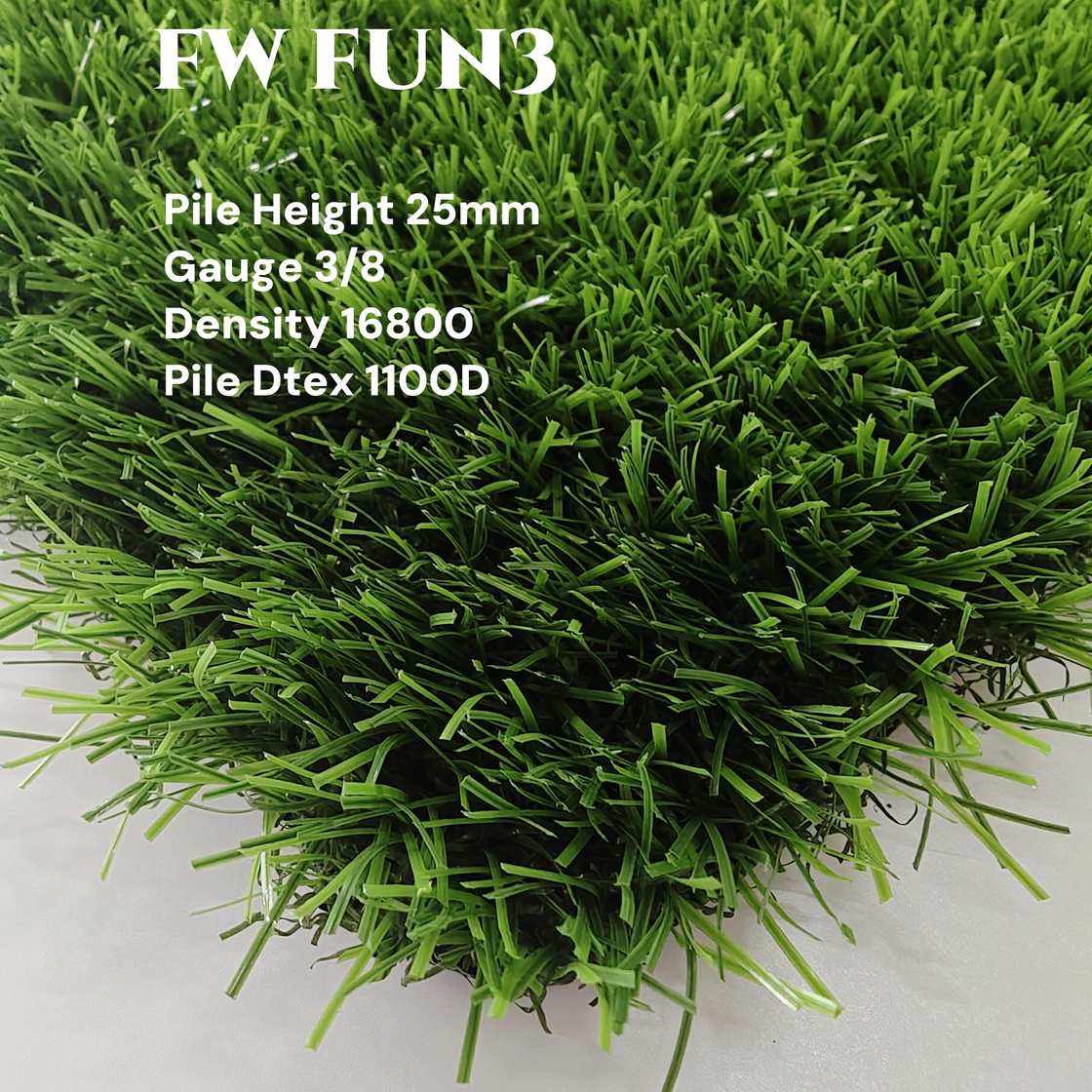 FW FUN3